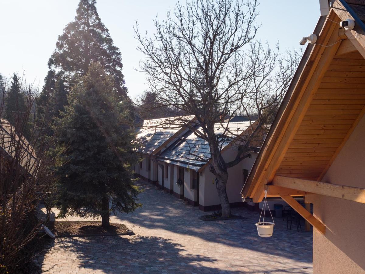 Bed and Breakfast Mamutfenyo Panzio Tata Exteriér fotografie